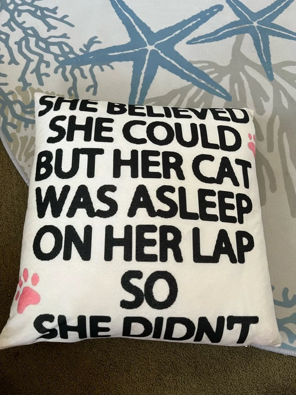 Cute pillow for cat lovers!